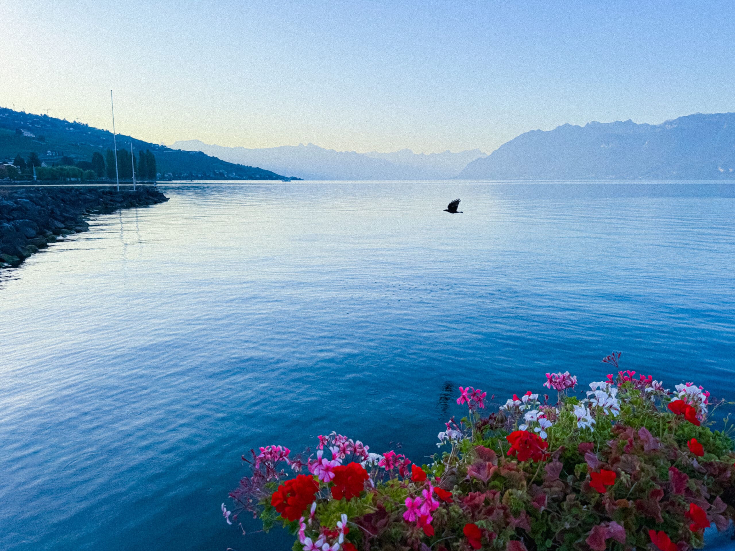 Lausanne-Switzerland LS#26