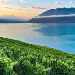 Lausanne-Switzerland LS#36