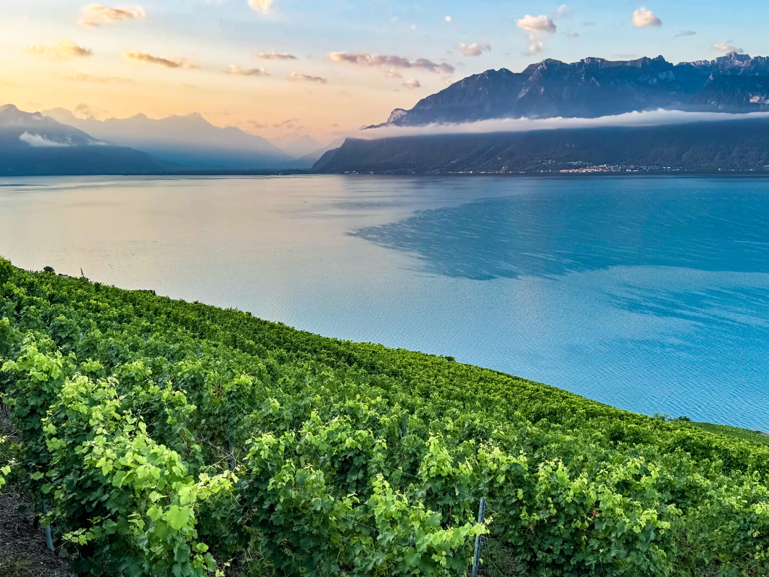 Lausanne-Switzerland LS#36