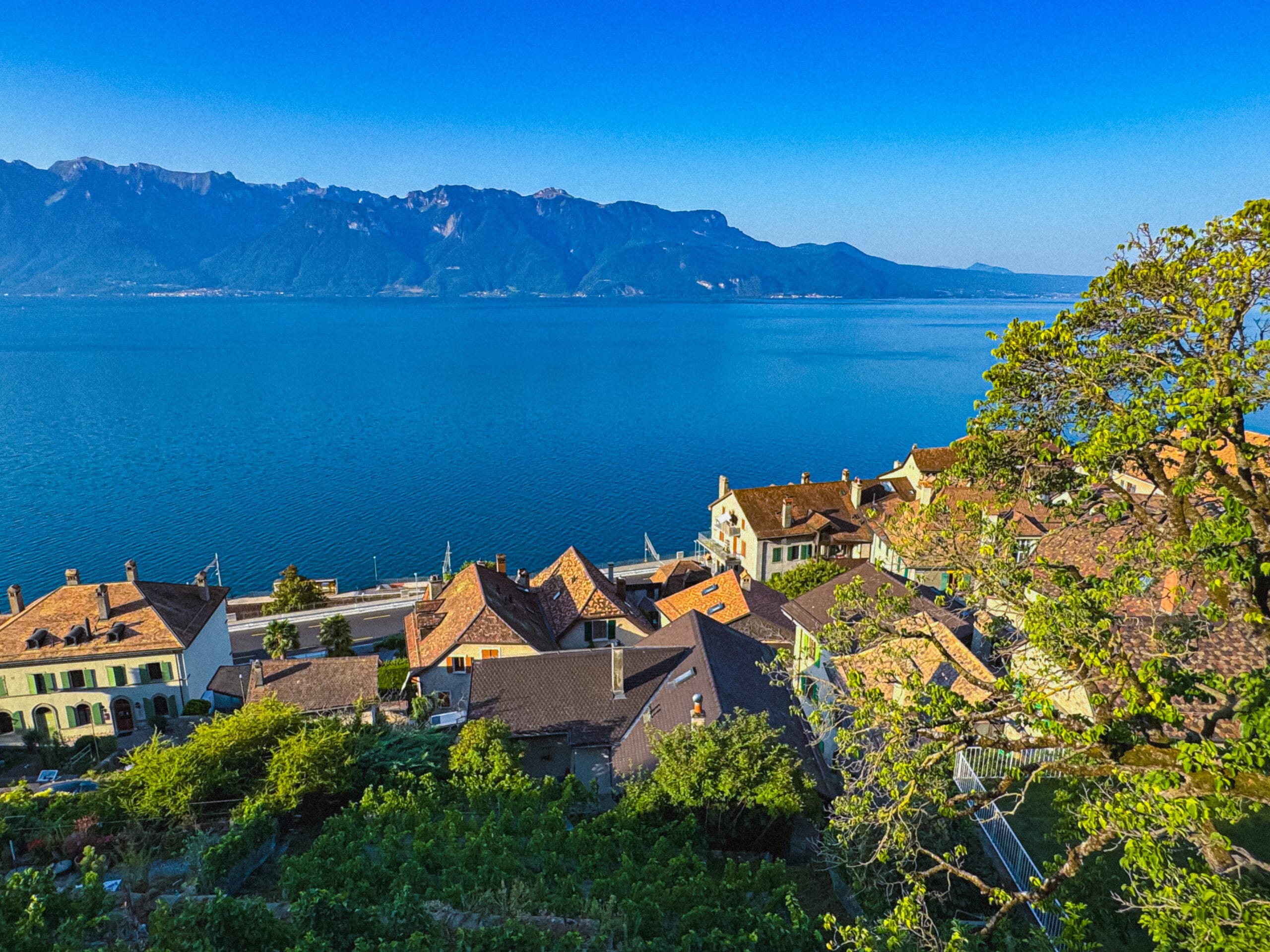 Lausanne-Switzerland LS#35