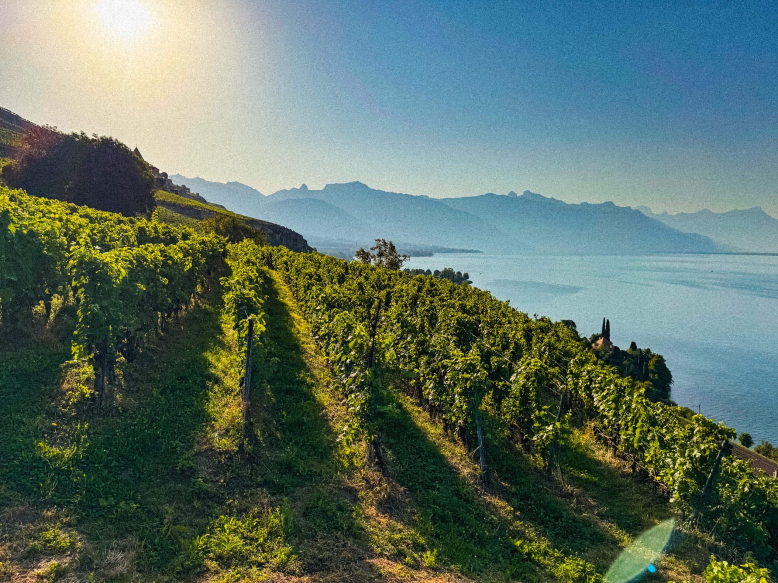 Lausanne-Switzerland LS#10