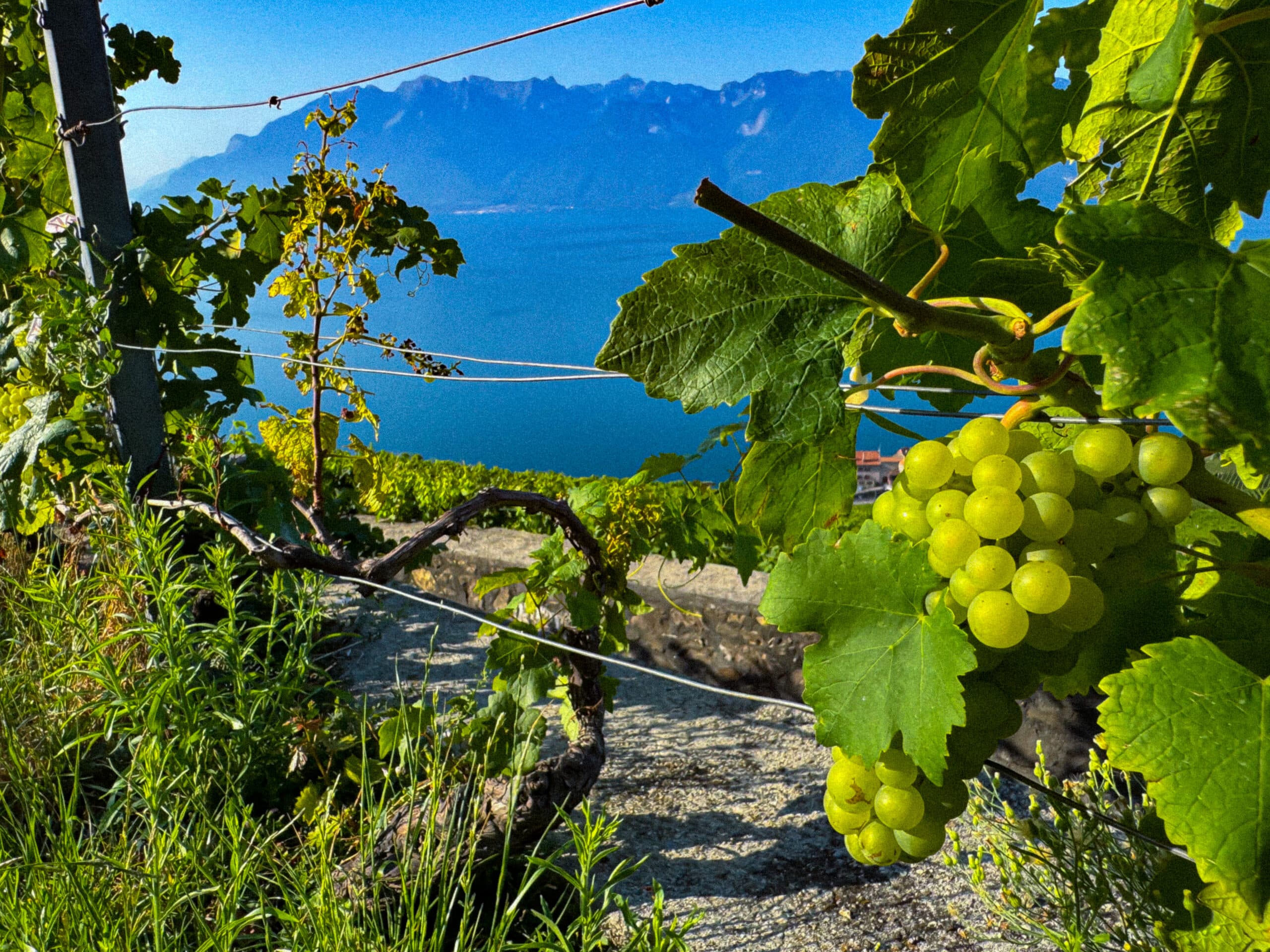 Lausanne-Switzerland LS#23