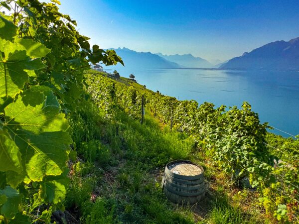 Lausanne-Switzerland LS#24